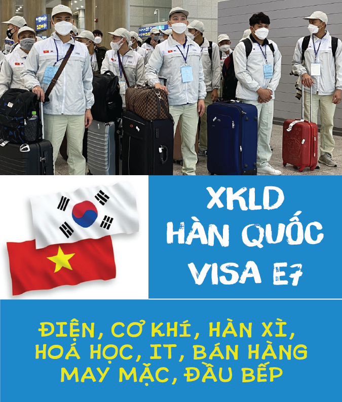 Tuyển dụng visa E7 các ngành làm việc tại Hàn Quốc